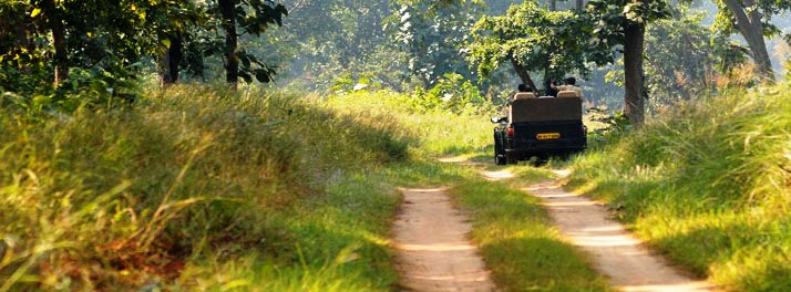 717/Taj Pashan Garh Panna National Park - Panna 18.jpg
